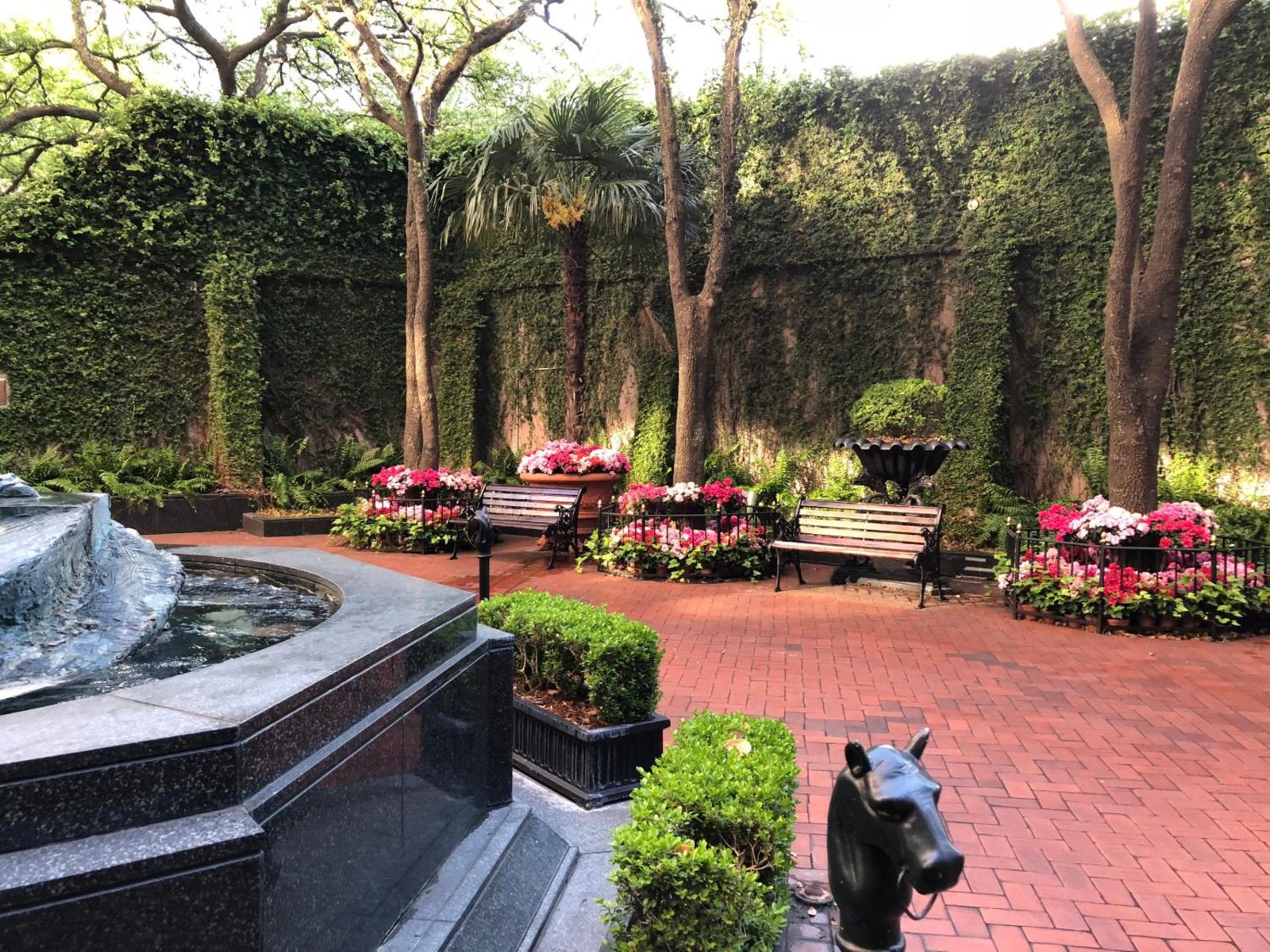 The Windsor Court — photo 7