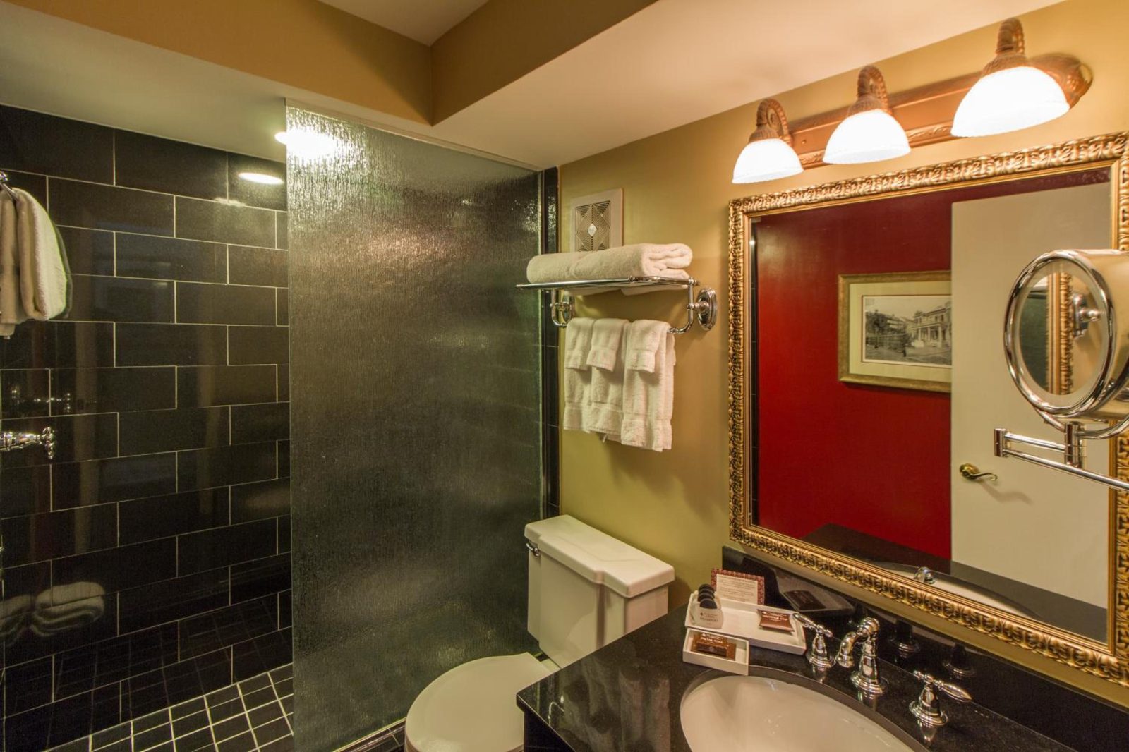 Bourbon Orleans Hotel — photo 7